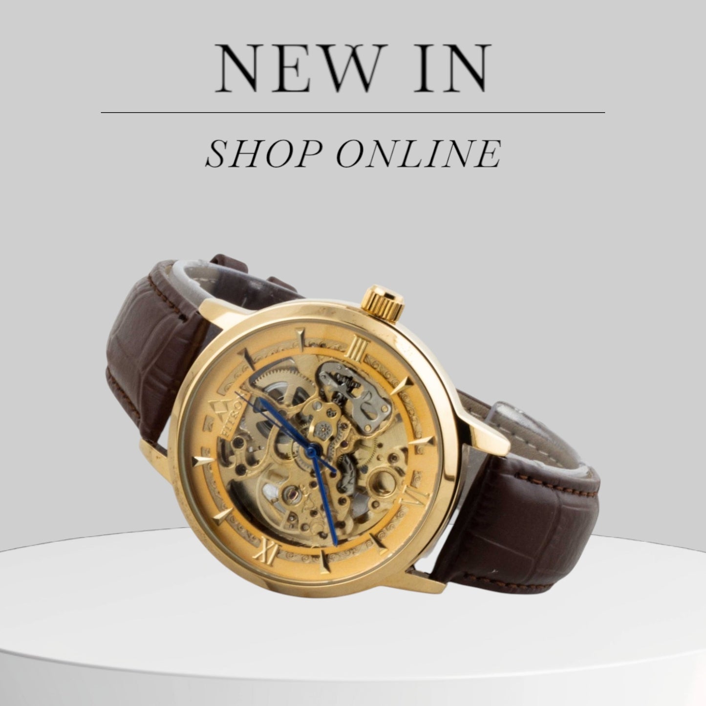Original FITRON Skeleton Automatic Wrist Watch For Men Leather Strap