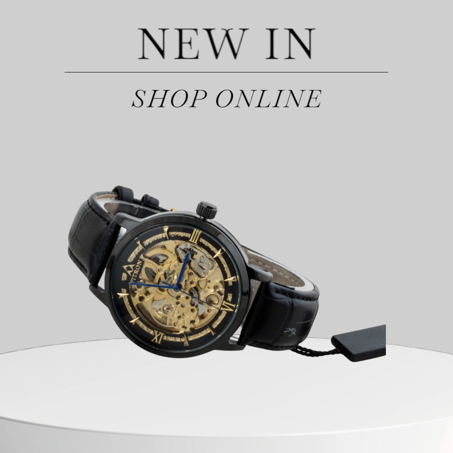 Original FITRON Skeleton Automatic Wrist Watch For Men Leather Strap